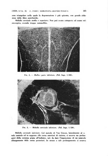 La clinica ostetrica e ginecologica rivista mensile per i medici pratici