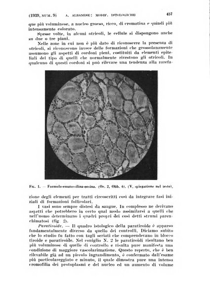 La clinica ostetrica e ginecologica rivista mensile per i medici pratici