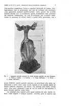 giornale/RML0026838/1942/unico/00000021