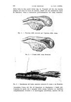 giornale/RML0026838/1942/unico/00000142