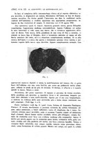 giornale/RML0026838/1942/unico/00000439