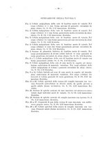 giornale/RML0026996/1903/v.13/00000070