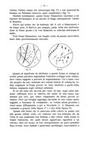 giornale/RML0026996/1906/v.16/00000077