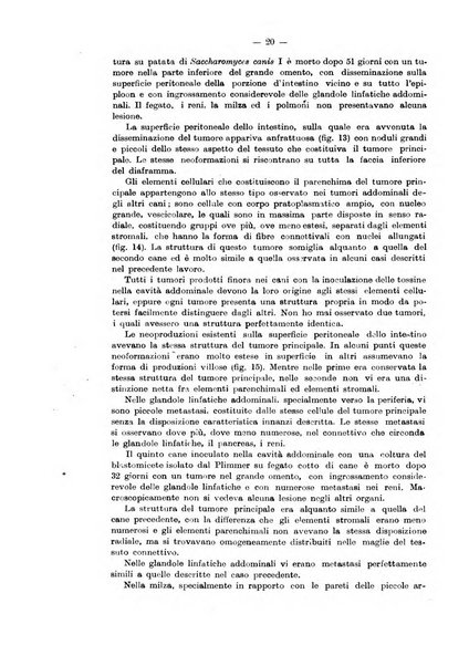 Annali d'igiene sperimentale