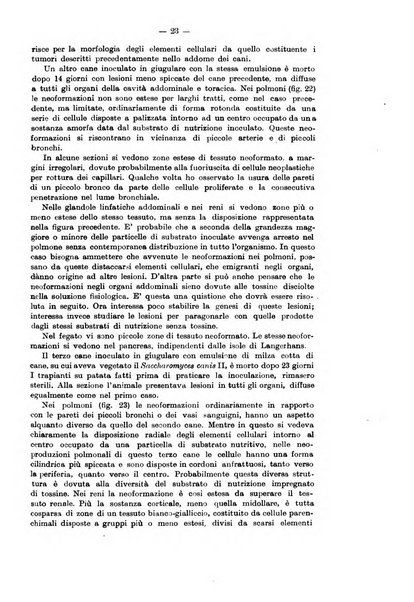 Annali d'igiene sperimentale