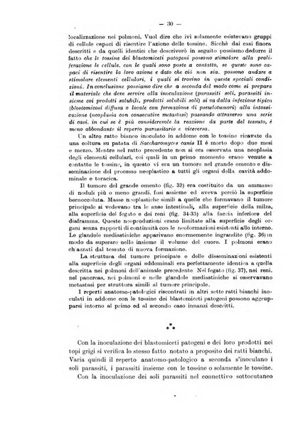 Annali d'igiene sperimentale