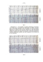 giornale/RML0026996/1908/v.18/00000076