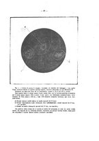 giornale/RML0026996/1910/v.20/00000033