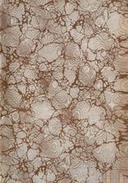 giornale/RML0027001/1908/unico/00000003