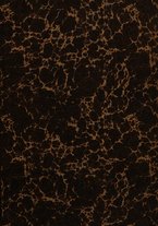 giornale/RML0027030/1926/v.36