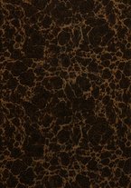 giornale/RML0027030/1931/v.41