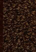 giornale/RML0027030/1936/v.46