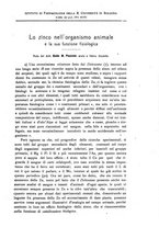 giornale/RML0027187/1919/unico/00000271