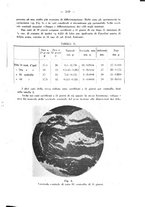 giornale/RML0027187/1933/unico/00000215