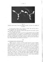 giornale/RML0027187/1933/unico/00000218