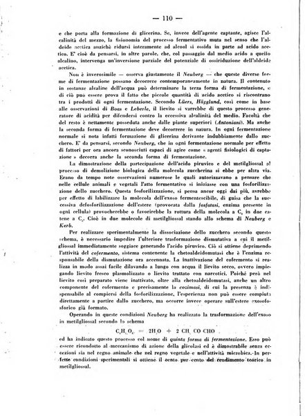 Biochimica e terapia sperimentale organo ufficiale della Societa italiana di Chimica biologica