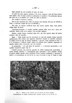 giornale/RML0027187/1936/unico/00000253