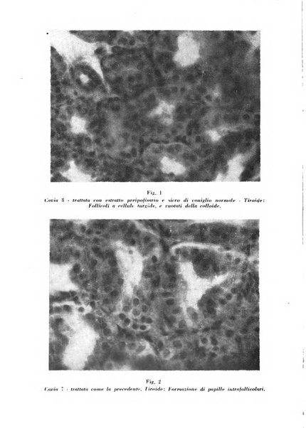 Biochimica e terapia sperimentale organo ufficiale della Societa italiana di Chimica biologica