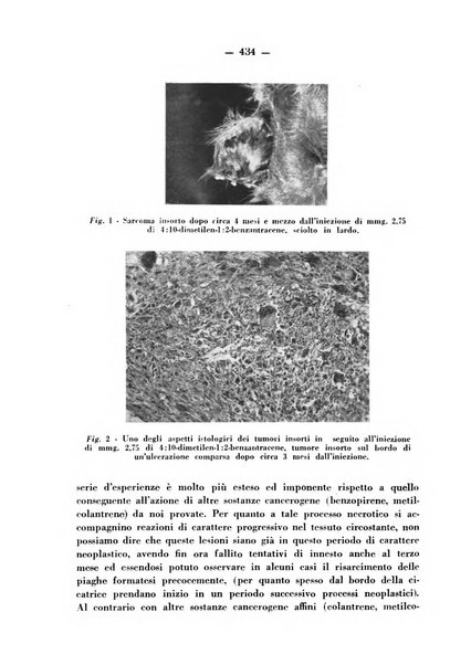 Biochimica e terapia sperimentale organo ufficiale della Societa italiana di Chimica biologica