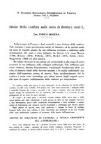 giornale/RML0027187/1938/unico/00000019