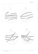 giornale/RML0027195/1891/unico/00000425