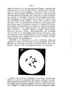 giornale/RML0027195/1895/unico/00000051