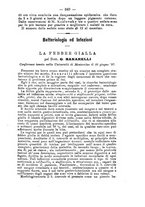 giornale/RML0027195/1897/unico/00000379