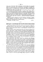 giornale/RML0027195/1898/unico/00000025