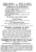 giornale/RML0027195/1899/unico/00000187
