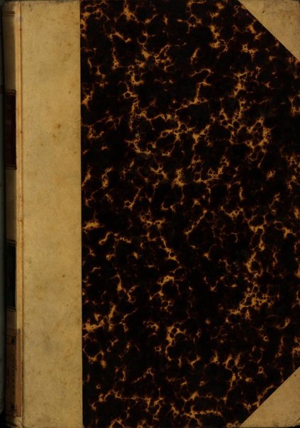 Bollettino della Società romana per gli studi zoologici