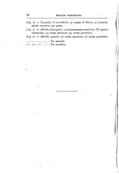 Bollettino della Società romana per gli studi zoologici