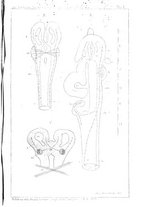 giornale/RML0027258/1893/v.2/00000083