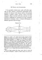 giornale/RML0027403/1879/unico/00000123