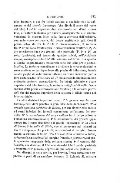 Giornale di medicina militare