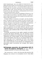 giornale/RML0027403/1881/unico/00001211