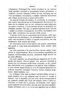 giornale/RML0027418/1888/unico/00000061