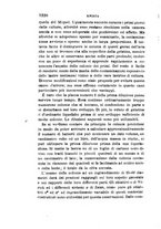 giornale/RML0027418/1888/unico/00001278