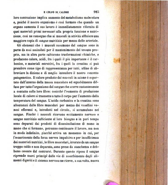 Giornale medico del R. Esercito e della R. Marina