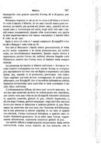 giornale/RML0027418/1891/unico/00000821