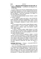 giornale/RML0027418/1891/unico/00001726