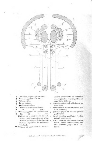 Giornale medico del R. Esercito e della R. Marina