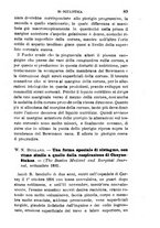 giornale/RML0027418/1893/unico/00000095