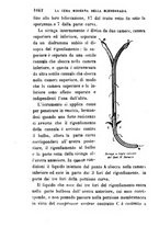 giornale/RML0027418/1894/unico/00001082