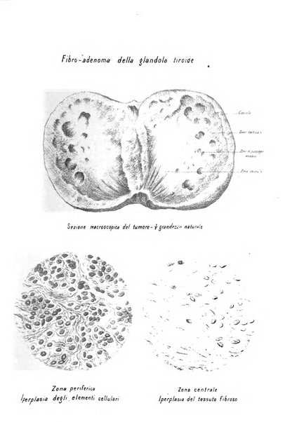 Giornale medico del R. Esercito e della R. Marina