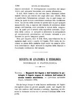 giornale/RML0027418/1895/unico/00001448