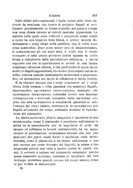 Giornale medico del Regio Esercito