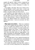 giornale/RML0027468/1896/unico/00000939