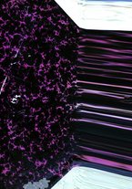 giornale/RML0027468/1897/unico/00000001