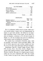 giornale/RML0027468/1897/unico/00001305