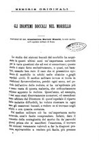 giornale/RML0027468/1901/unico/00000123